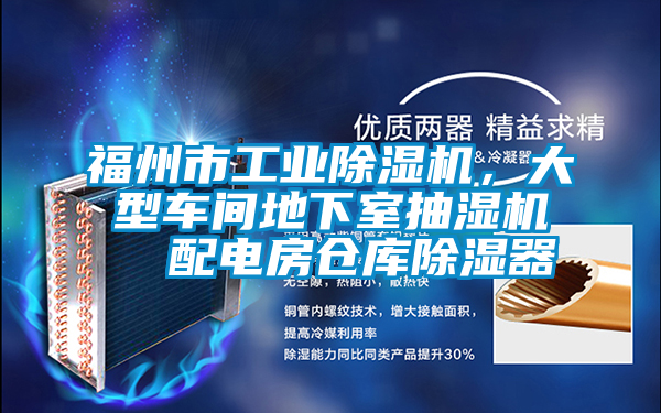 福州市工業(yè)除濕機，大型車間地下室抽濕機  配電房倉庫除濕器