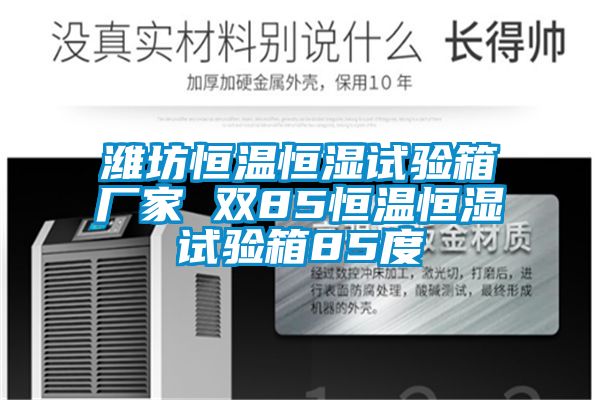 濰坊恒溫恒濕試驗(yàn)箱廠家 雙85恒溫恒濕試驗(yàn)箱85度