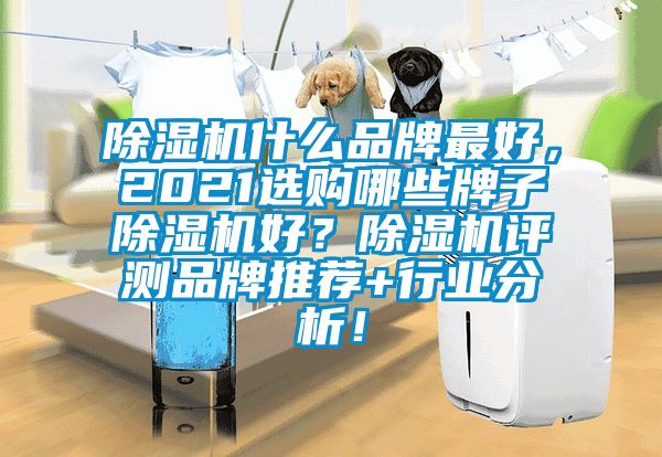 除濕機(jī)什么品牌最好，2021選購哪些牌子除濕機(jī)好？除濕機(jī)評測品牌推薦+行業(yè)分析！