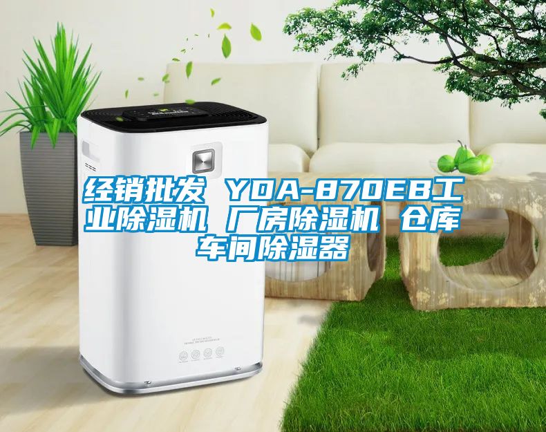 經(jīng)銷批發(fā) YDA-870EB工業(yè)除濕機 廠房除濕機 倉庫車間除濕器