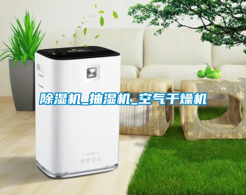 除濕機_抽濕機_空氣干燥機