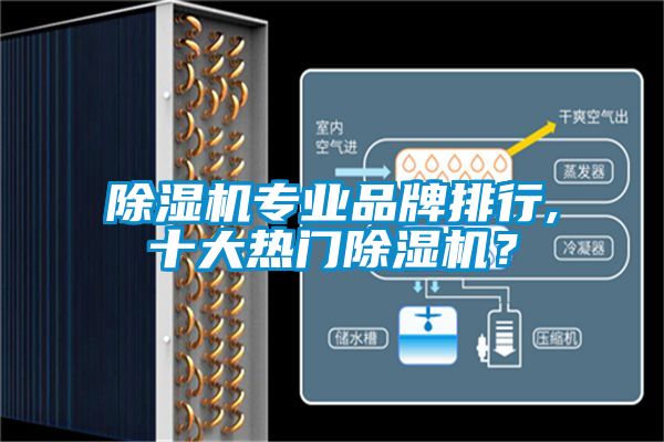 除濕機(jī)專業(yè)品牌排行,十大熱門除濕機(jī)？