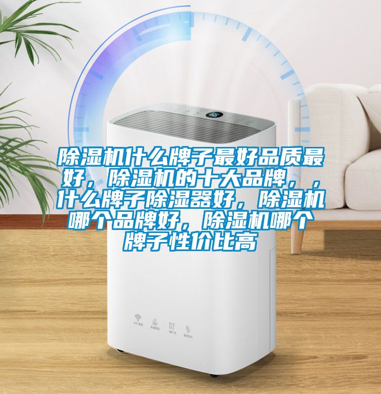 除濕機(jī)什么牌子最好品質(zhì)最好，除濕機(jī)的十大品牌，，什么牌子除濕器好，除濕機(jī)哪個(gè)品牌好，除濕機(jī)哪個(gè)牌子性價(jià)比高