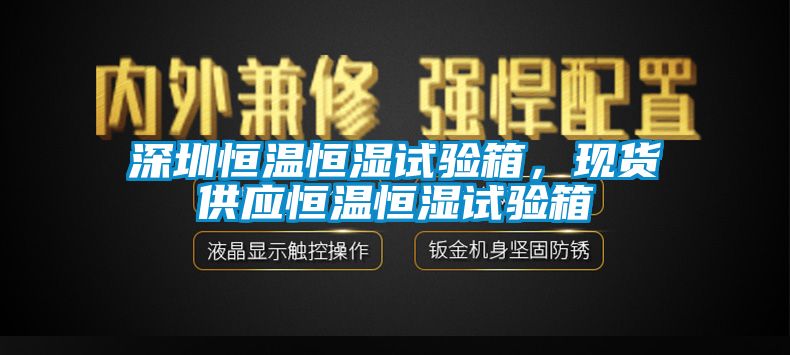 深圳恒溫恒濕試驗(yàn)箱，現(xiàn)貨供應(yīng)恒溫恒濕試驗(yàn)箱