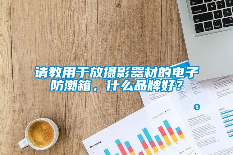 請教用于放攝影器材的電子防潮箱，什么品牌好？