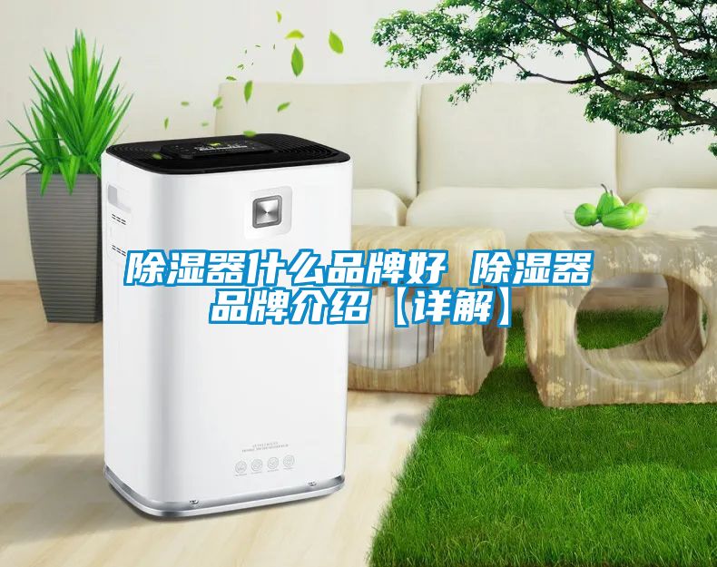 除濕器什么品牌好 除濕器品牌介紹【詳解】