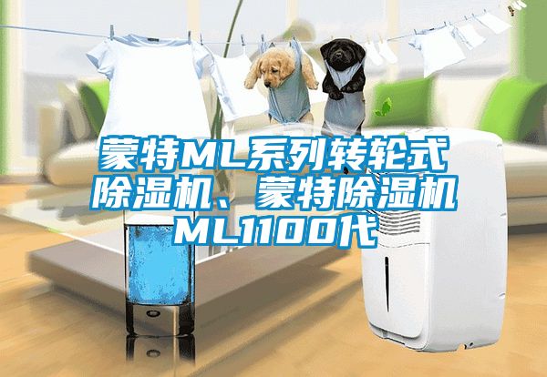 蒙特ML系列轉(zhuǎn)輪式除濕機(jī)、蒙特除濕機(jī)ML1100代