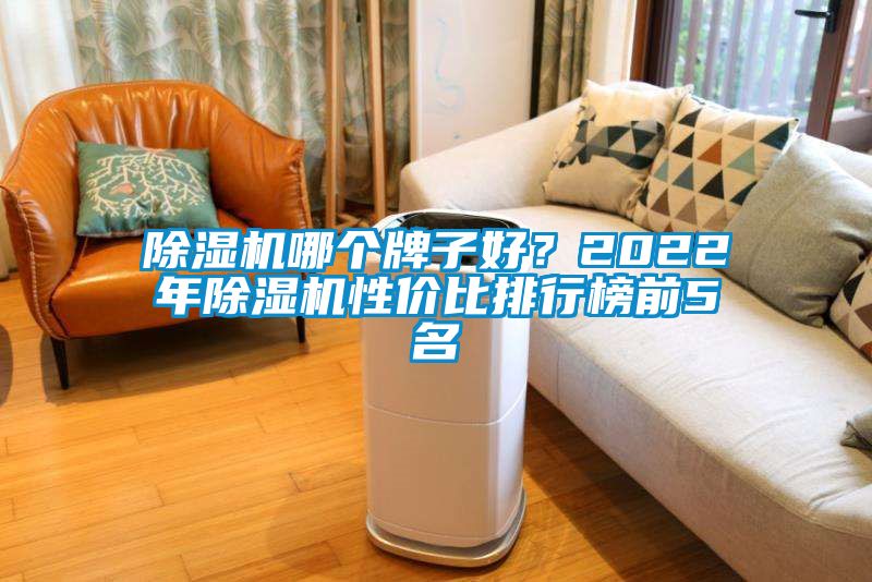 除濕機哪個牌子好？2022年除濕機性價比排行榜前5名