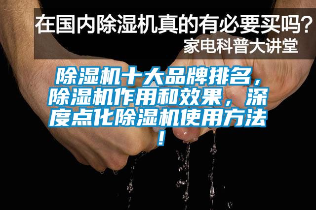 除濕機十大品牌排名，除濕機作用和效果，深度點化除濕機使用方法！