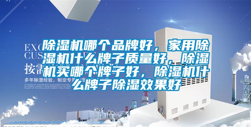 除濕機哪個品牌好，家用除濕機什么牌子質(zhì)量好，除濕機買哪個牌子好，除濕機什么牌子除濕效果好