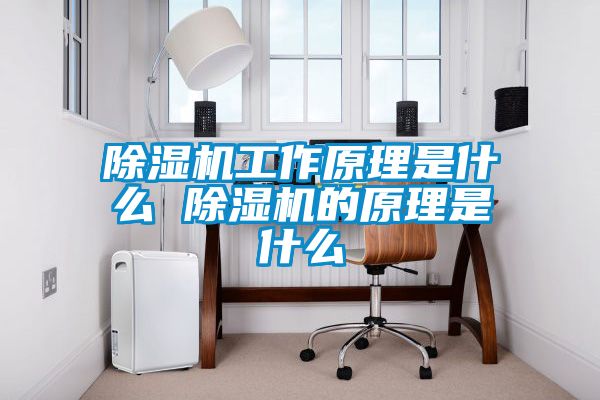 除濕機工作原理是什么 除濕機的原理是什么