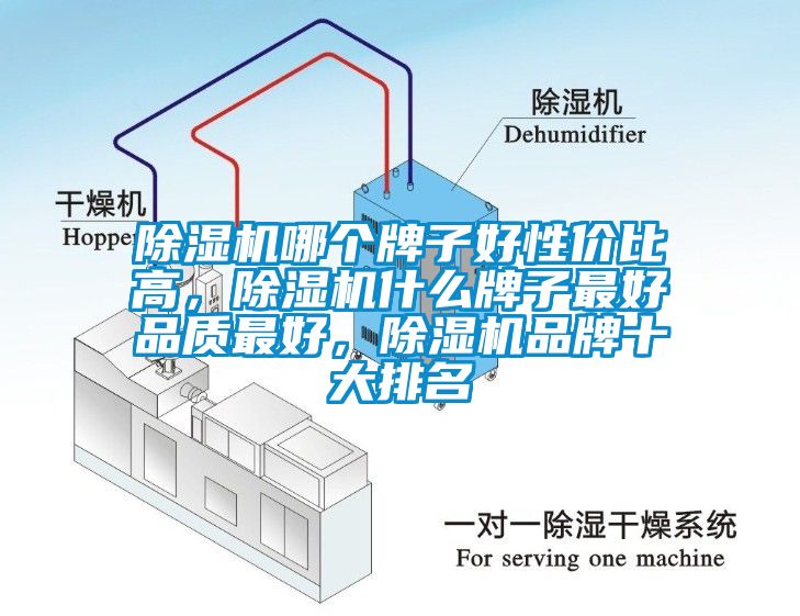 除濕機哪個牌子好性價比高，除濕機什么牌子最好品質(zhì)最好，除濕機品牌十大排名