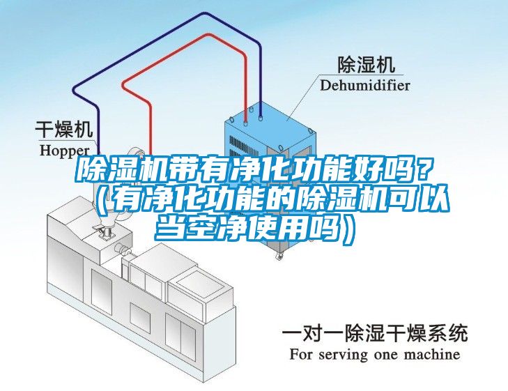 除濕機帶有凈化功能好嗎？（有凈化功能的除濕機可以當空凈使用嗎）