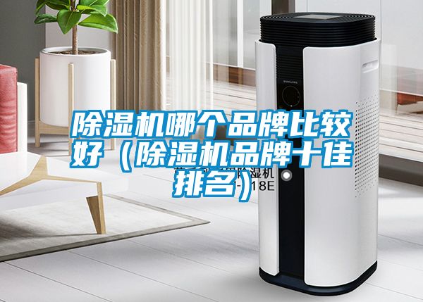 除濕機哪個品牌比較好（除濕機品牌十佳排名）