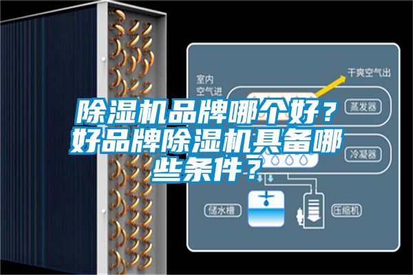 除濕機(jī)品牌哪個(gè)好？好品牌除濕機(jī)具備哪些條件？