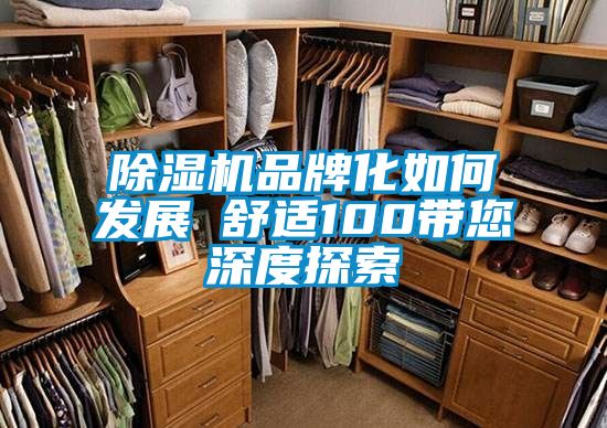 除濕機品牌化如何發(fā)展　　舒適100帶您深度探索