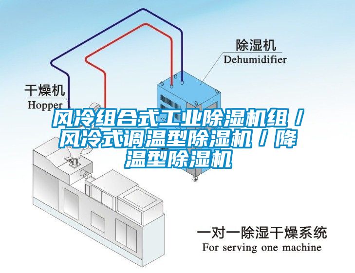 風(fēng)冷組合式工業(yè)除濕機組／風(fēng)冷式調(diào)溫型除濕機／降溫型除濕機