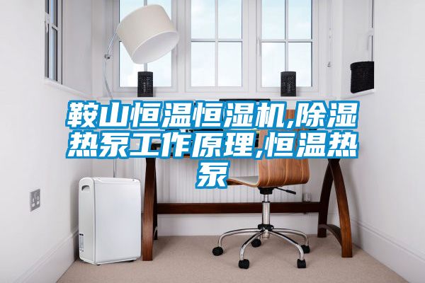 鞍山恒溫恒濕機,除濕熱泵工作原理,恒溫?zé)岜?/></p>
<p style=