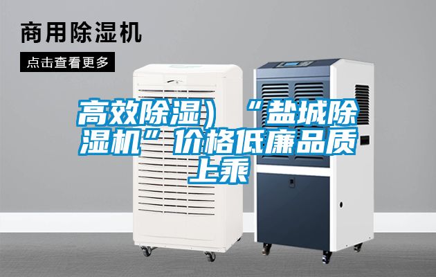 高效除濕）“鹽城除濕機”價格低廉品質(zhì)上乘