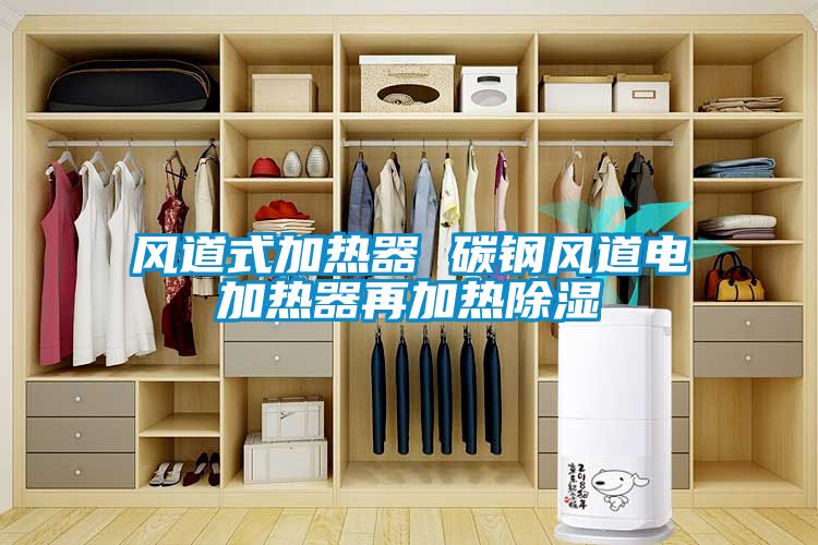 風(fēng)道式加熱器 碳鋼風(fēng)道電加熱器再加熱除濕