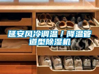 行業(yè)新聞延安風冷調(diào)溫／降溫管道型除濕機