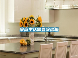 企業(yè)新聞家庭生活需要除濕機(jī)