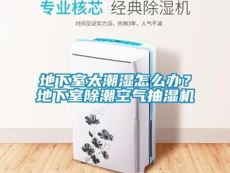 企業(yè)新聞地下室太潮濕怎么辦？地下室除潮空氣抽濕機(jī)