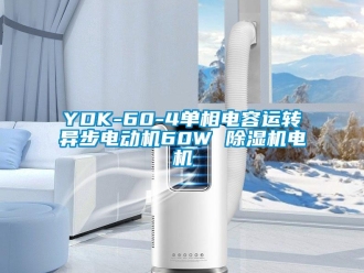 企業(yè)新聞YDK-60-4單相電容運(yùn)轉(zhuǎn)異步電動機(jī)60W 除濕機(jī)電機(jī)