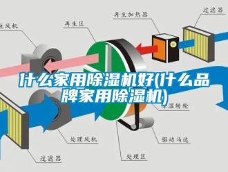 企業(yè)新聞什么家用除濕機好(什么品牌家用除濕機)