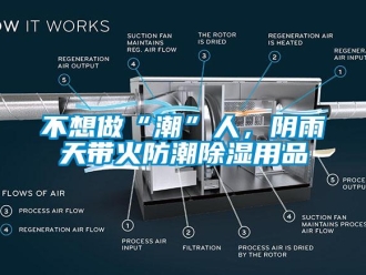 企業(yè)新聞不想做“潮”人，陰雨天帶火防潮除濕用品