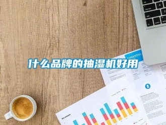 企業(yè)新聞什么品牌的抽濕機好用