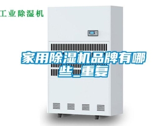 企業(yè)新聞家用除濕機(jī)品牌有哪些_重復(fù)