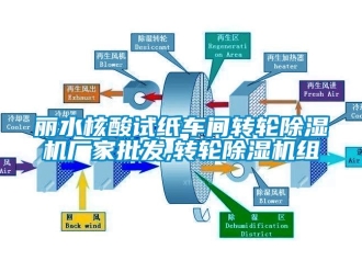 企業(yè)新聞麗水核酸試紙車間轉輪除濕機廠家批發(fā),轉輪除濕機組