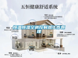 知識百科恒溫恒濕空調(diào)控制器工作原理