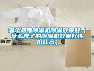 企業(yè)新聞哪個品牌除濕機除濕效果好（什么牌子的除濕機效果好性價比高）