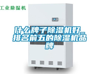 企業(yè)新聞什么牌子除濕機(jī)好_排名前五的除濕機(jī)品牌