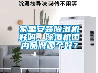 企業(yè)新聞家里安裝除濕機(jī)好嗎，除濕機(jī)國(guó)內(nèi)品牌哪個(gè)好？