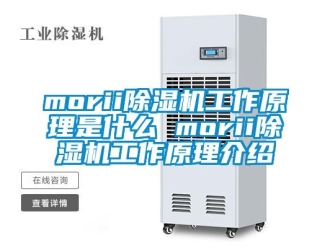 企業(yè)新聞morii除濕機工作原理是什么 morii除濕機工作原理介紹