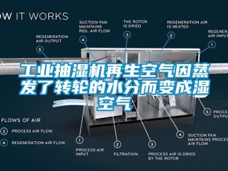 企業(yè)新聞工業(yè)抽濕機再生空氣因蒸發(fā)了轉輪的水分而變成濕空氣