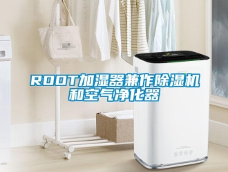 企業(yè)新聞ROOT加濕器兼作除濕機(jī)和空氣凈化器