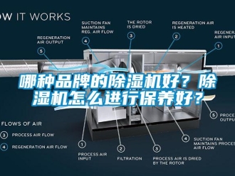 企業(yè)新聞哪種品牌的除濕機好？除濕機怎么進(jìn)行保養(yǎng)好？