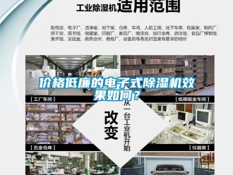 企業(yè)新聞價格低廉的電子式除濕機效果如何？