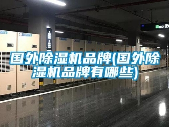 企業(yè)新聞國(guó)外除濕機(jī)品牌(國(guó)外除濕機(jī)品牌有哪些)