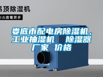 企業(yè)新聞婁底市配電房除濕機(jī)，工業(yè)抽濕機(jī)  除濕器廠家 價(jià)格