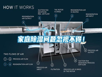 知識百科家庭除濕問題忽視不得！