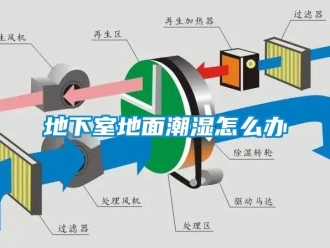 企業(yè)新聞地下室地面潮濕怎么辦