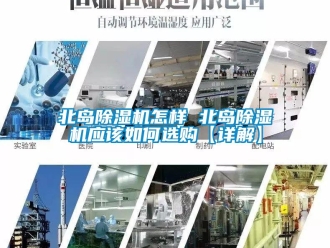 企業(yè)新聞北島除濕機怎樣 北島除濕機應該如何選購【詳解】