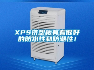 企業(yè)新聞XPS擠塑板有著很好的防水性和防潮性！