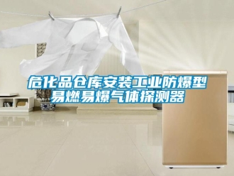 企業(yè)新聞?；穫}庫安裝工業(yè)防爆型易燃易爆氣體探測器