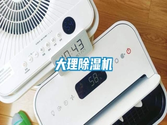 知識百科大理除濕機